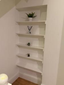 Spacious Stay in the Heart of the Town