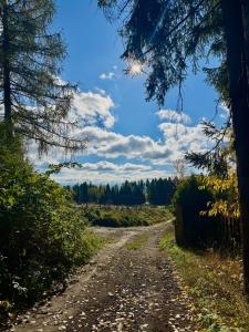 Domek pod Modrzewiem