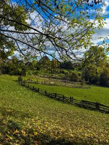 Domek pod Modrzewiem