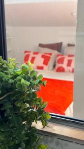 T2 cosy tout équipé, parking et wifi gratuit, Castres