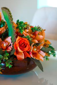 Peroba Ville Apartamento, Maragogi