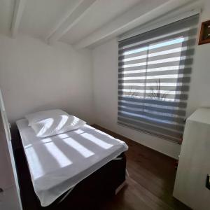 Casa Árbol lodge, Cabañas