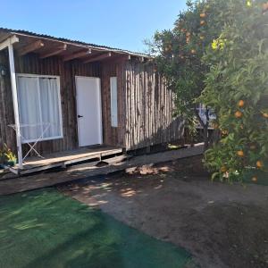 Casa Árbol lodge, Cabañas