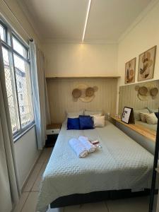 Renovated apartment in Santa Teresa