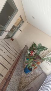 Apartamento Sonho Meu