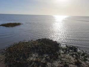 Tranquil Retreat in Skaerbaek - By Traum Ferienwohnungen