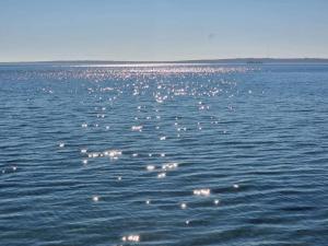 Tranquil Retreat in Skaerbaek - By Traum Ferienwohnungen