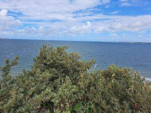 6 person holiday home in Struer-By Traum