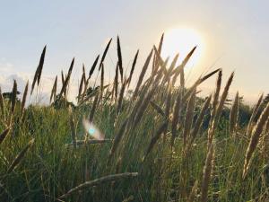 10 person holiday home in Væggerløse-By Traum