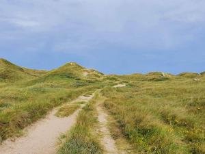 12 person holiday home in Ulfborg-By Traum