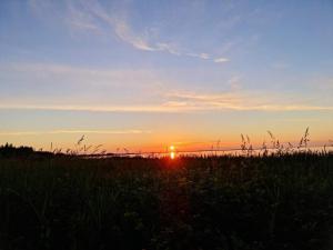 7 person holiday home in Ulfborg-By Traum