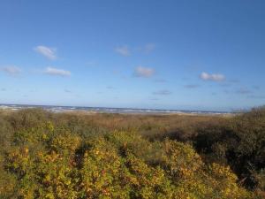 6 person holiday home in Bindslev-By Traum