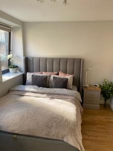 Oasis in heart of Dublin city