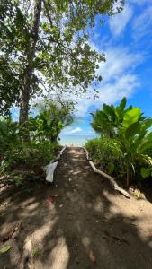 Playa Ganadito Ecolodge