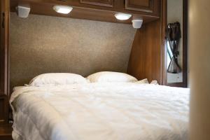 Gapyeong Podobat Dangdangyi Dog Pension