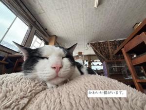 Guest House Sun Island