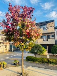 一叶軒 東京民宿 One-Leaf House