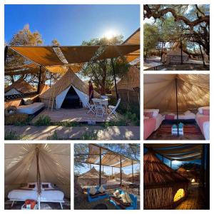 Atacama Loft & Glamp