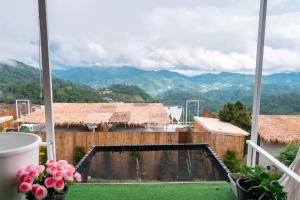 ภูตะวัน-บ้านท่าจัน ม่อนแจ่ม