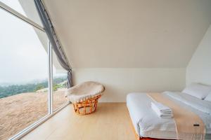 ภูตะวัน-บ้านท่าจัน ม่อนแจ่ม