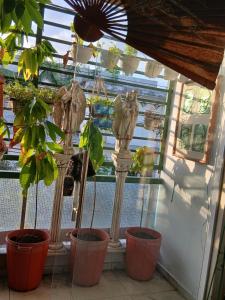 Apartamento para cop30