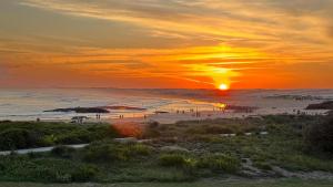 Surfers Paradise Port Stephens – Birubi Beachfront