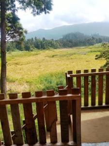 Dieng glamping syariah