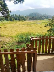 Dieng glamping syariah