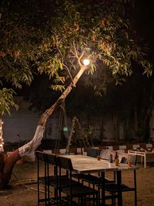 The Gir Village Stay