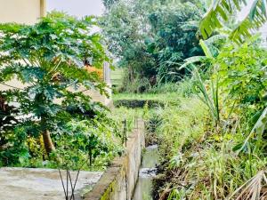 Lukas Place - 1 bedroom