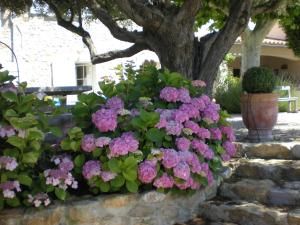 B&B / Chambres d'hotes Bastide de Fontvieille : photos des chambres