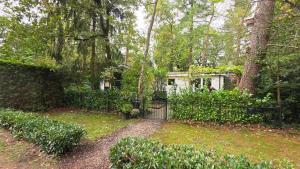 Vliegend Hert, Direct in de Natuur op de Veluwe