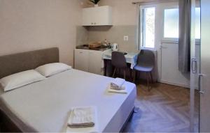 Amazing Apartment In Janjina With Lake View