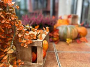 Akme APARTMENTS & ROOMS & FREE PARKING