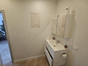 cozy studio Brussels airport