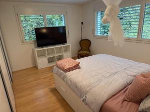 Lake Zug, Luxury Home, Stunning View