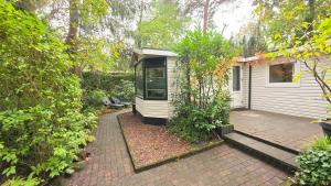 Vliegend Hert, Direct in de Natuur op de Veluwe