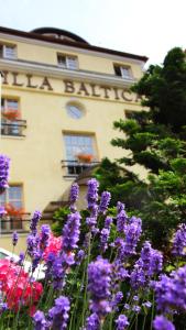 3 star hotel Hotel Villa Baltica Sopot Polonia