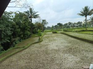 DBulan bungalows and kafe