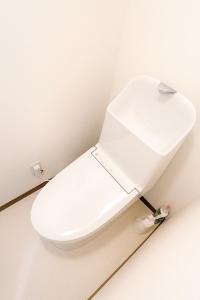 Room 303, a 6-minute walk from Tokyo Koiwa Station Direct connected to Shinjuku and Akihabara Stations Comfortable one-bedroom apartment with separate wet and dry areas