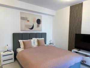 Sofia Residence-Otopeni Airport & Therme- Libertatii Gardens-Self Check-in