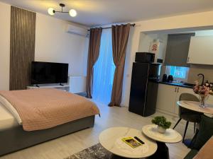 Sofia Residence - Otopeni Airport & Therme I Libertatii Gardens - free pool facilities