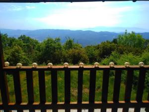 Pangeo forest village