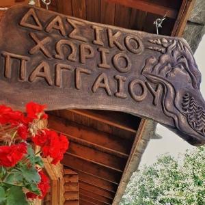 Pangeo forest village