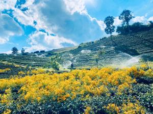 หลินฝูเอิน Ling Fu En