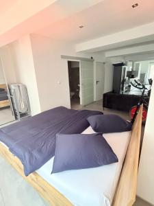 Rooftop Terrace Escape in the Heart of Maastricht