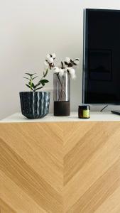 Nature & Design - Apartament pod lasem