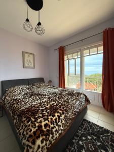 Elenis Seaview House