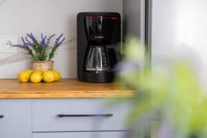 Spacious Apartment Close to Warsaw for 5 people by Noclegi Renters