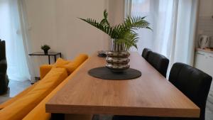 N&K Yellow Pearl Flat